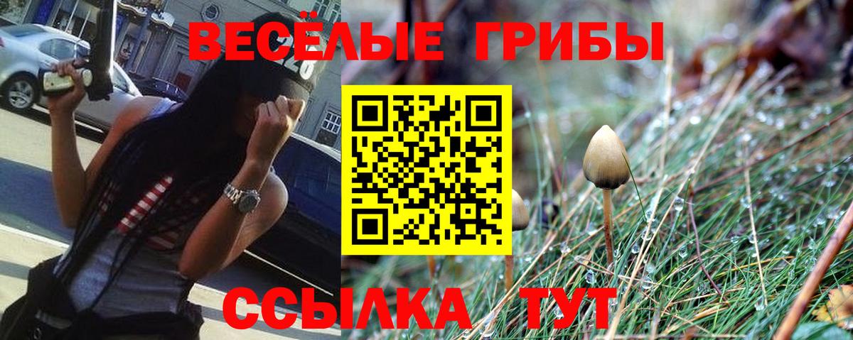 Псилоцибиновые грибы ЛСД  Вход с VPN  Калининград 